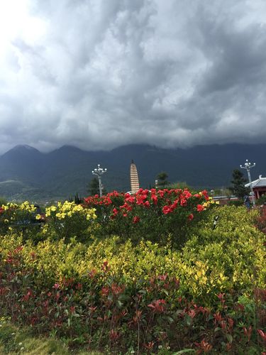 四、香格里拉--大理龙陵县