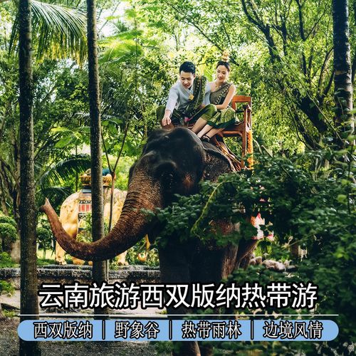 三、昆明--西双版纳