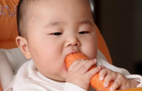胡萝卜与什么不能同食？胡萝卜不能和什么一起吃