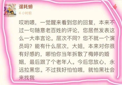 梅婷微博否认李小冉是第三者：离婚不仅仅见人品