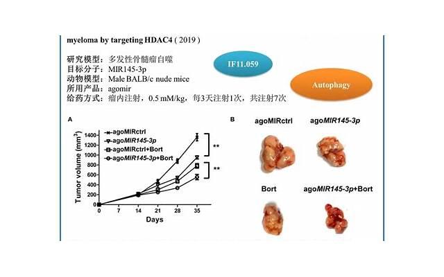 男生眼中的确定关系，从这5个细节看出他是认真的