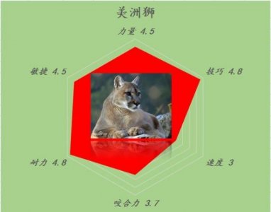 ​美洲狮酒价格