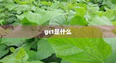 ​gct是什么
