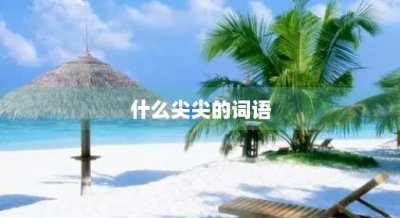 ​什么尖尖的词语(草芽尖尖还有什么尖尖的词语)