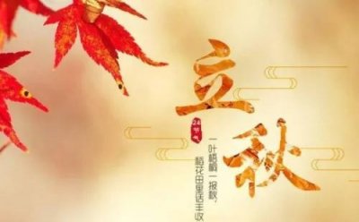 ​秋老虎什么意思(秋老虎是什么玩意)