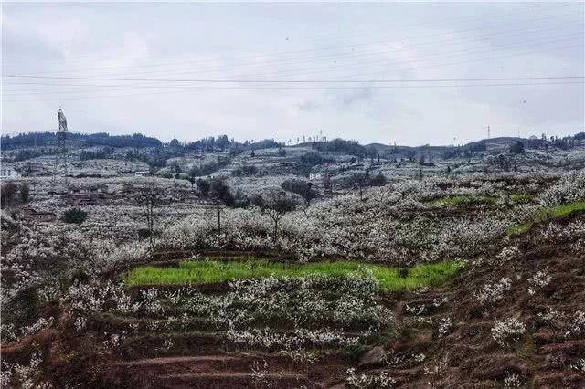 惊！昭通这个地方竟然在下“雪”！