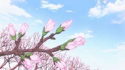 ​惊！昭通这个地方竟然在下“雪”！