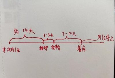 ​女性怀孕多久会停止大姨妈(怀孕多长时间会停止月经)