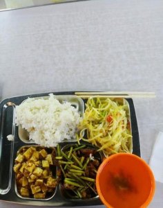 ​引起肥胖的原因是什么(肥胖的基本原因)