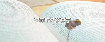 ​子字取名的寓意