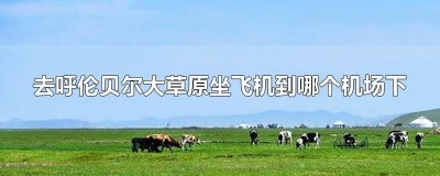 ​去呼伦贝尔大草原坐飞机到哪个机场下