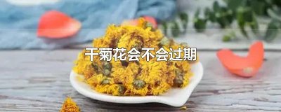 ​干菊花会不会过期