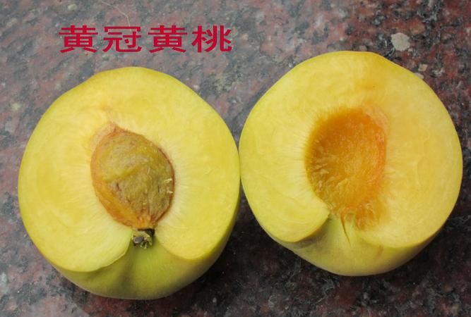 最早熟的桃树苗哪个品种好吃