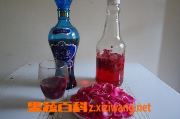 白酒泡玫瑰花功效和作用
