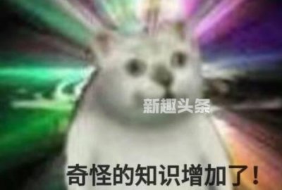 ​奇怪的知识增加了（奇怪的知识增加了表情包背景）