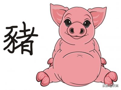 ​关于普通话的笑话，都是不标准闹出来的，被各种方言玩坏的节奏