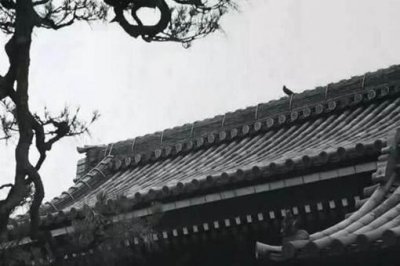 ​乌台诗案与王安石变法有什么关系?