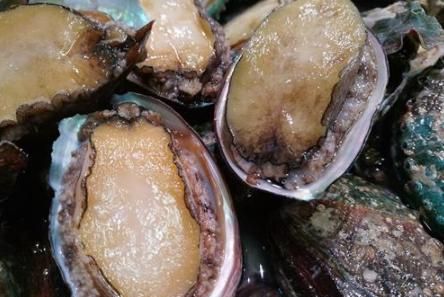 1头鲍鱼的做法大全