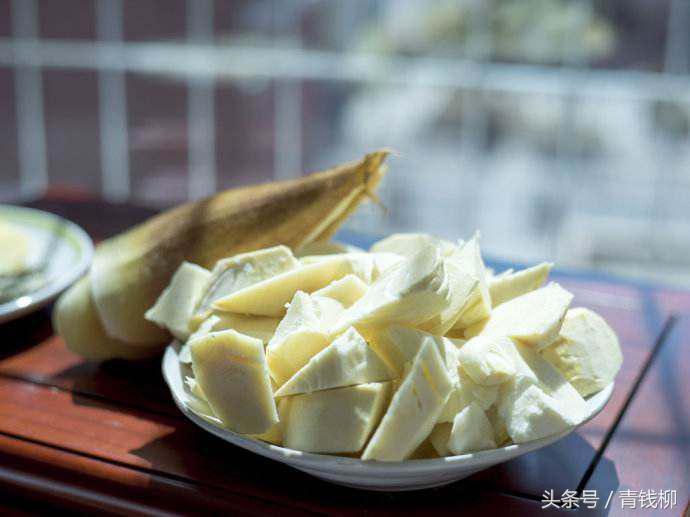 春笋几月份长出来（春笋的科学采挖和储藏保鲜要点）