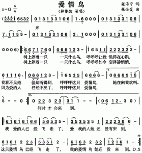 ​爱情鸟歌词（爱情鸟歌词是什么）