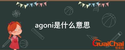 ​agoni是什么意思啊 agoni是什么意思怎么读