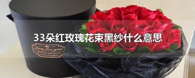​33朵红玫瑰花束黑纱什么意思