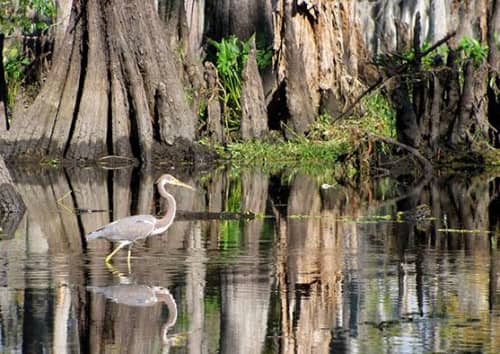 世界十大最诡异的地方,走不出来的死亡之地
