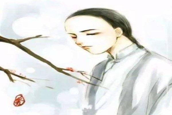 历史纳兰性德简介，纳兰性德真的无意仕途吗？纳兰的感情世界  2