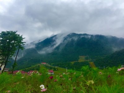 ​西岭，一座被杜甫写进历史的雪山