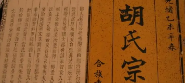 辽宁胡姓的来源,胡姓的来源和历史简介图1
