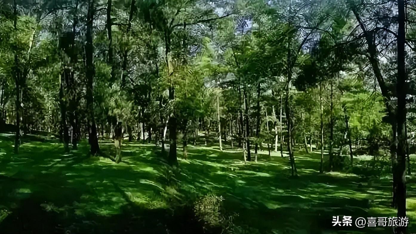 修文县旅游景点有哪些(修文有什么旅游景点)
