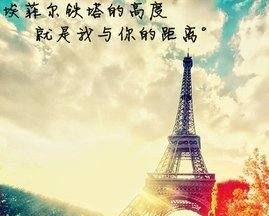 埃菲尔铁塔的由来,巴黎的方尖碑的来历图3