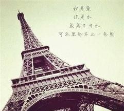 埃菲尔铁塔的由来,巴黎的方尖碑的来历图4