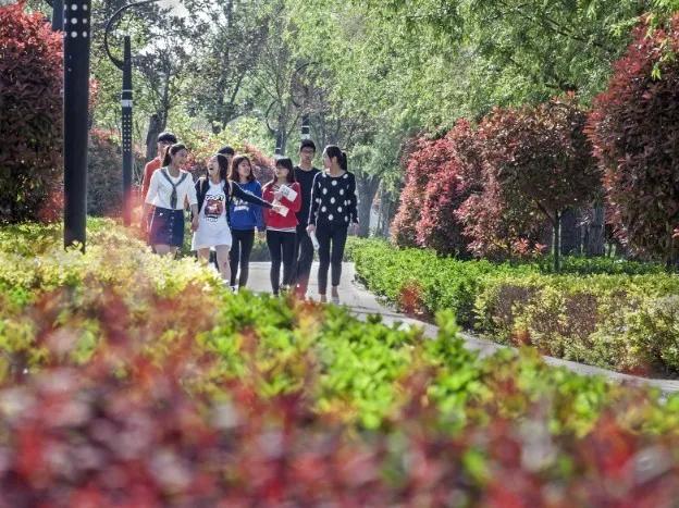 山东理工大学 建筑工程学院（山东省特色名校优质校）(5)