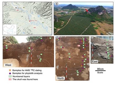 ​关于距今3万年前中国南方地区广西娅怀洞遗址古人类植物利用的研究成果