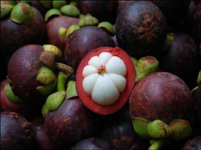 ​山竹的功效与作用 山竹的营养成分