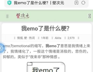 ​emo是什么意思,emo 什么意思