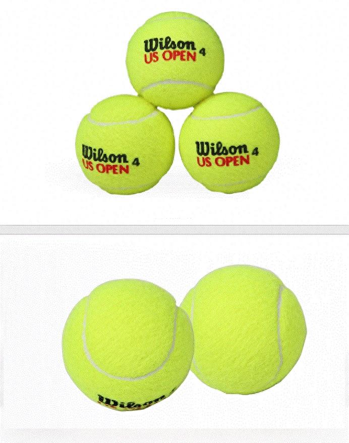 威尔胜（Wilson）（著名运动品牌）