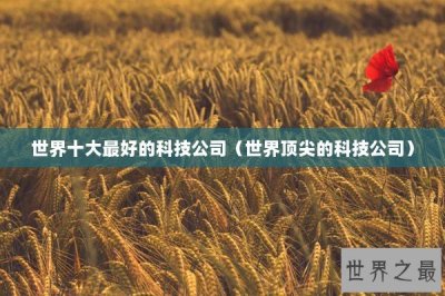 ​世界十大最好的科技公司（世界顶尖的科技公司）