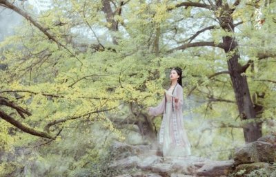 ​十部必看经典乱文（几部三观不正的狗血古言文）