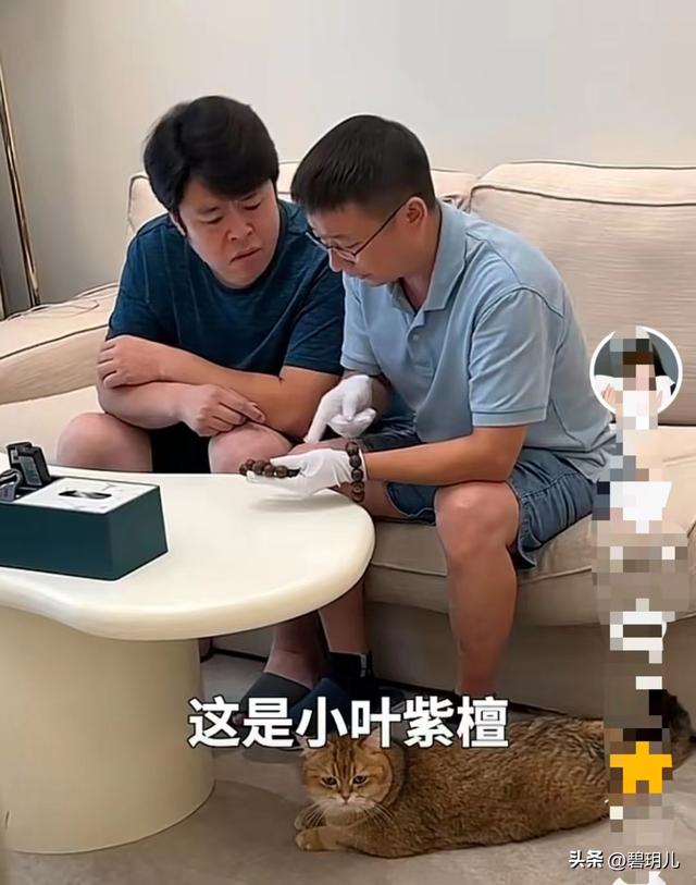 祝晓晗身高有多高 26岁山东姑娘祝晓晗(12)