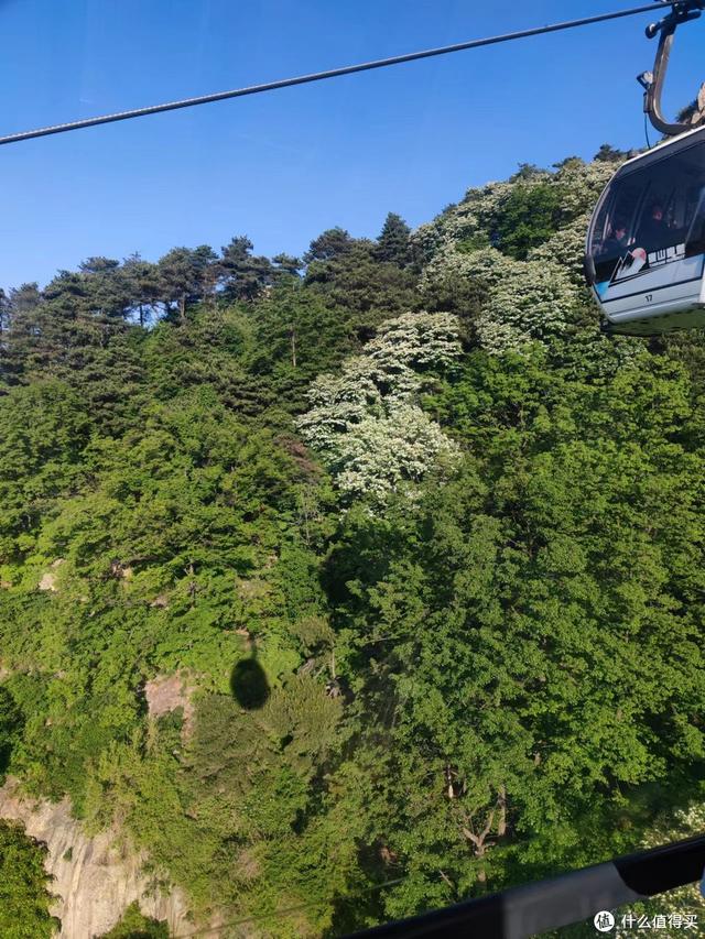 好客山东旅行攻略（好客山东欢迎你）(24)