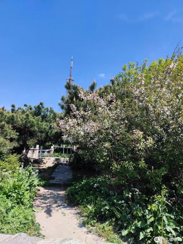 好客山东旅行攻略（好客山东欢迎你）(57)