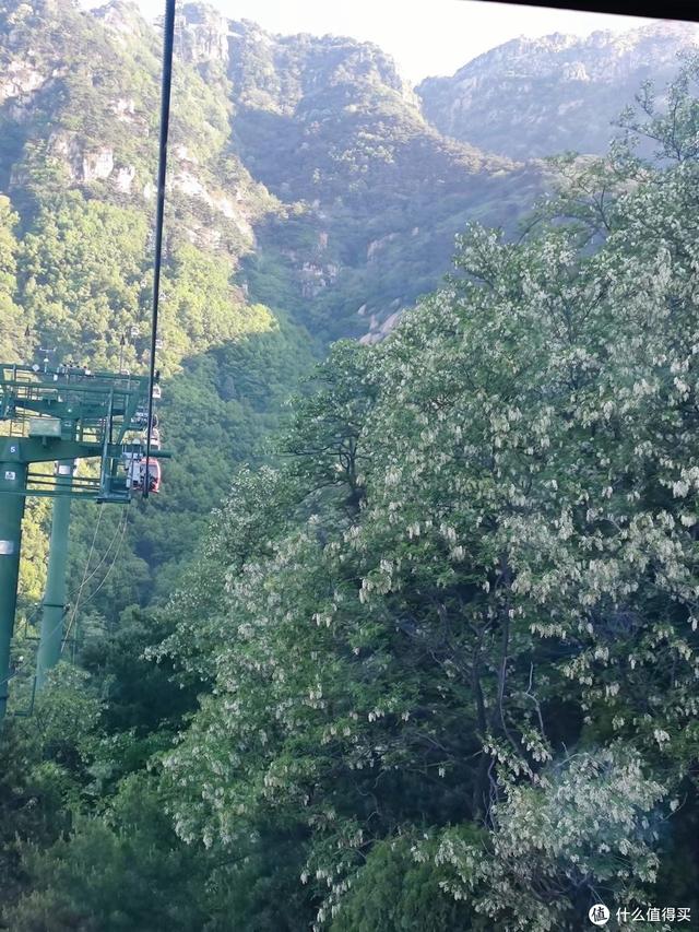 好客山东旅行攻略（好客山东欢迎你）(23)