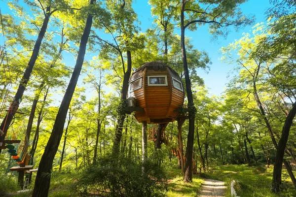 铜川旅游景点推荐大全（铜川这5个绝美之地）(16)