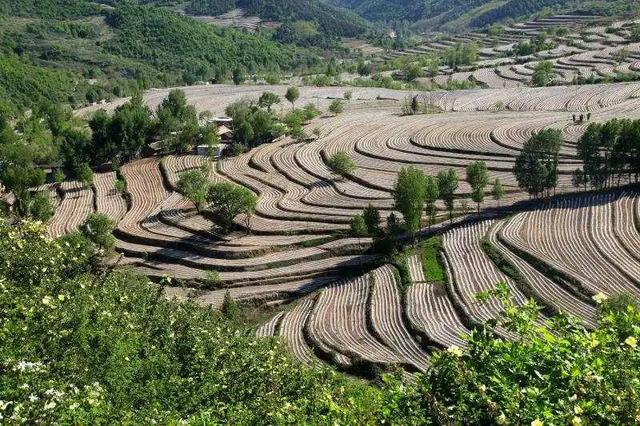 铜川旅游景点推荐大全（铜川这5个绝美之地）(5)