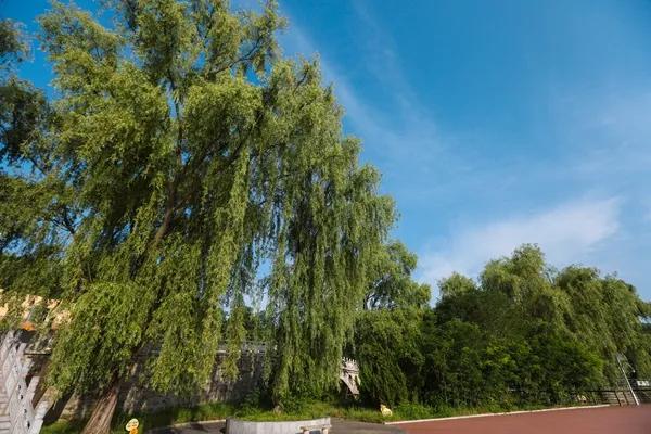铜川旅游景点推荐大全（铜川这5个绝美之地）(3)