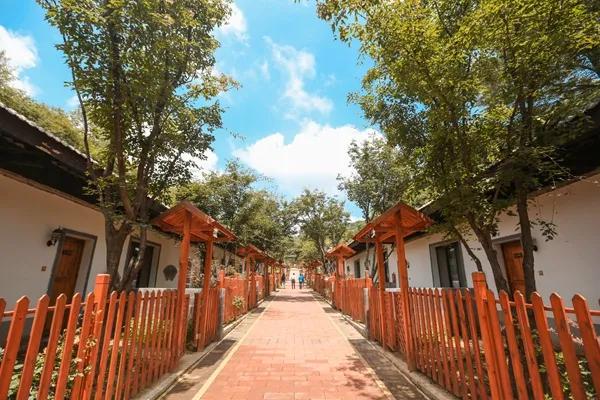铜川旅游景点推荐大全（铜川这5个绝美之地）(39)