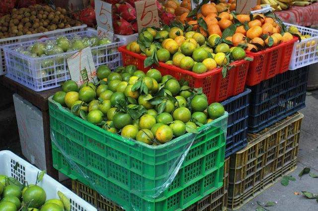 上海卖水果小哥获赠300万房产后续（水果摊主获赠老人300万房产）(4)
