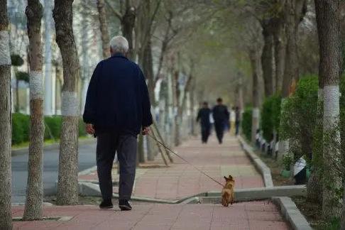 上海卖水果小哥获赠300万房产后续（水果摊主获赠老人300万房产）(7)